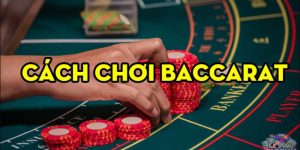 Tổng Hợp Các Cách Chơi Baccarat Hiệu Quả Tại Nhà Cái KO66