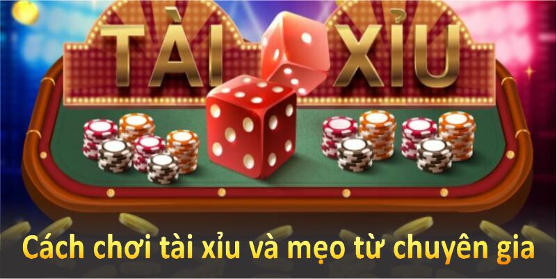 Cách chơi tài xỉu và mẹo từ chuyên gia sẽ giúp bạn thắng lớn