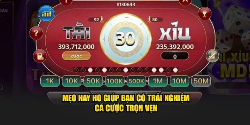 Mẹo hay ho giúp bạn có trải nghiệm cá độ trọn vẹn